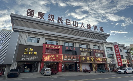 23.藥業(yè)公司深入人參市場考察調(diào)研_副本.jpg